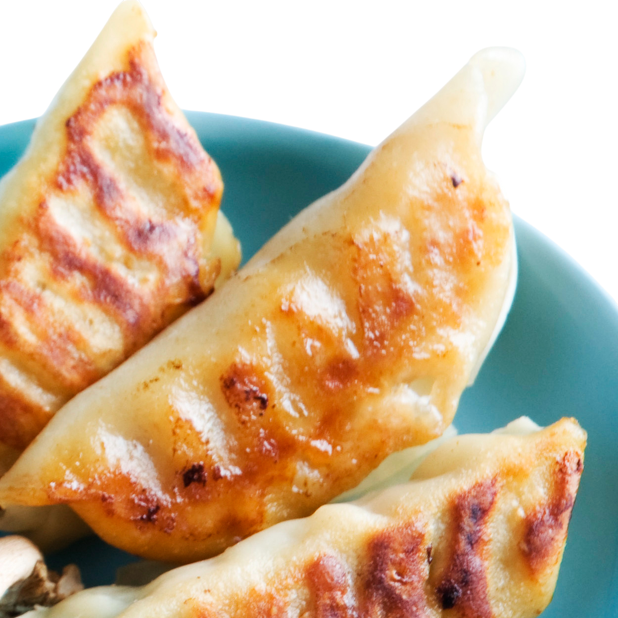 Three Dragon Pork Potsticker Dumplings